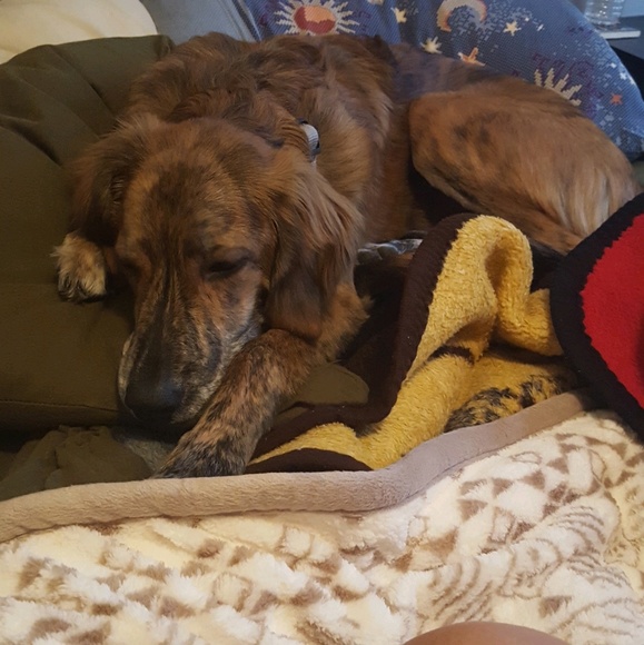 Meet your Posher, Moraima - Picture 1 of 1